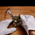 MIGHTY MACHINE CRANE